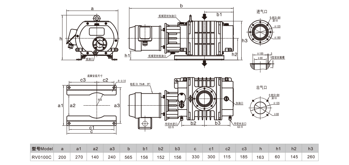 RV0100C罗茨真空泵